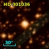 HD 301036
