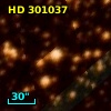 HD 301037