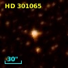 HD 301065