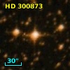 HD 300873