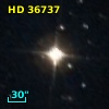 HD  36737