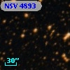 NSV  4893