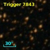 Trigger  7843