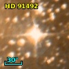 HD  91492