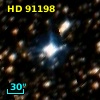 HD  91198