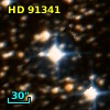 HD  91341