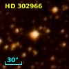 HD 302966