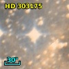 HD 303175