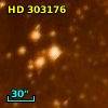 HD 303176