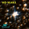 HD  91493