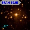 BRAN 309D