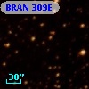 BRAN 309E