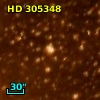 HD 305348
