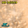HD 303219