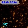 BRAN 309A