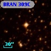 BRAN 309C