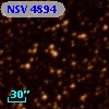 NSV  4894