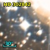 HD 302842
