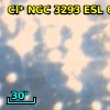 Cl* NGC 3293    ESL      66