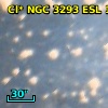 Cl* NGC 3293    ESL     122