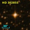 HD 302855