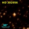 HD 302956