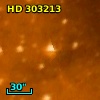HD 303213