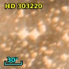HD 303220