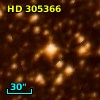 HD 305366