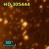 HD 305444