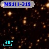 [M81] I-318