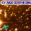 Cl* NGC 3293      B     206
