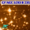 Cl* NGC 3293      B     235