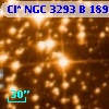 Cl* NGC 3293      B     189
