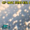 Cl* NGC 3293    ESL      69