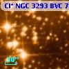 Cl* NGC 3293    BVC      75