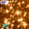 Cl* NGC 3293    BVC     109