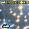 Cl* NGC 3293    ESL     107