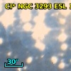 Cl* NGC 3293    ESL     111
