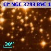 Cl* NGC 3293    BVC     143