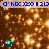 Cl* NGC 3293      B     213