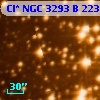 Cl* NGC 3293      B     223