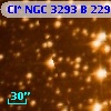 Cl* NGC 3293      B     229