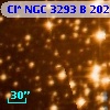 Cl* NGC 3293      B     202