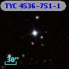 TYC 4536-751-1