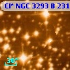 Cl* NGC 3293      B     231