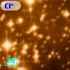 Cl* NGC 3293      B     228