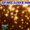 Cl* NGC 3293      B     160