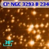 Cl* NGC 3293      B     234