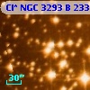 Cl* NGC 3293      B     233